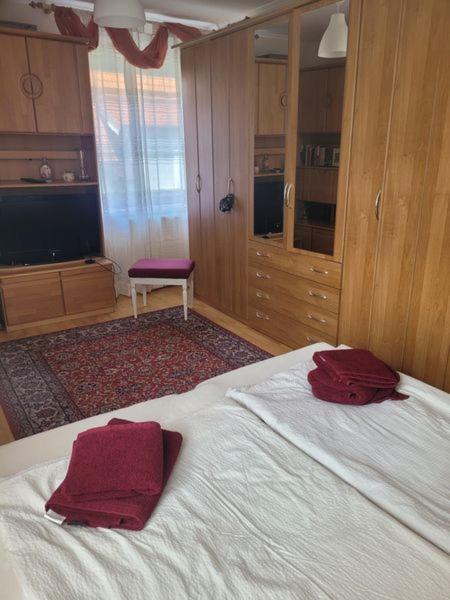 Ferienwohnung Korneuburg Bei Wien -1 Exteriér fotografie